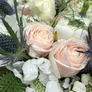 Meet your Posher, Jasmin